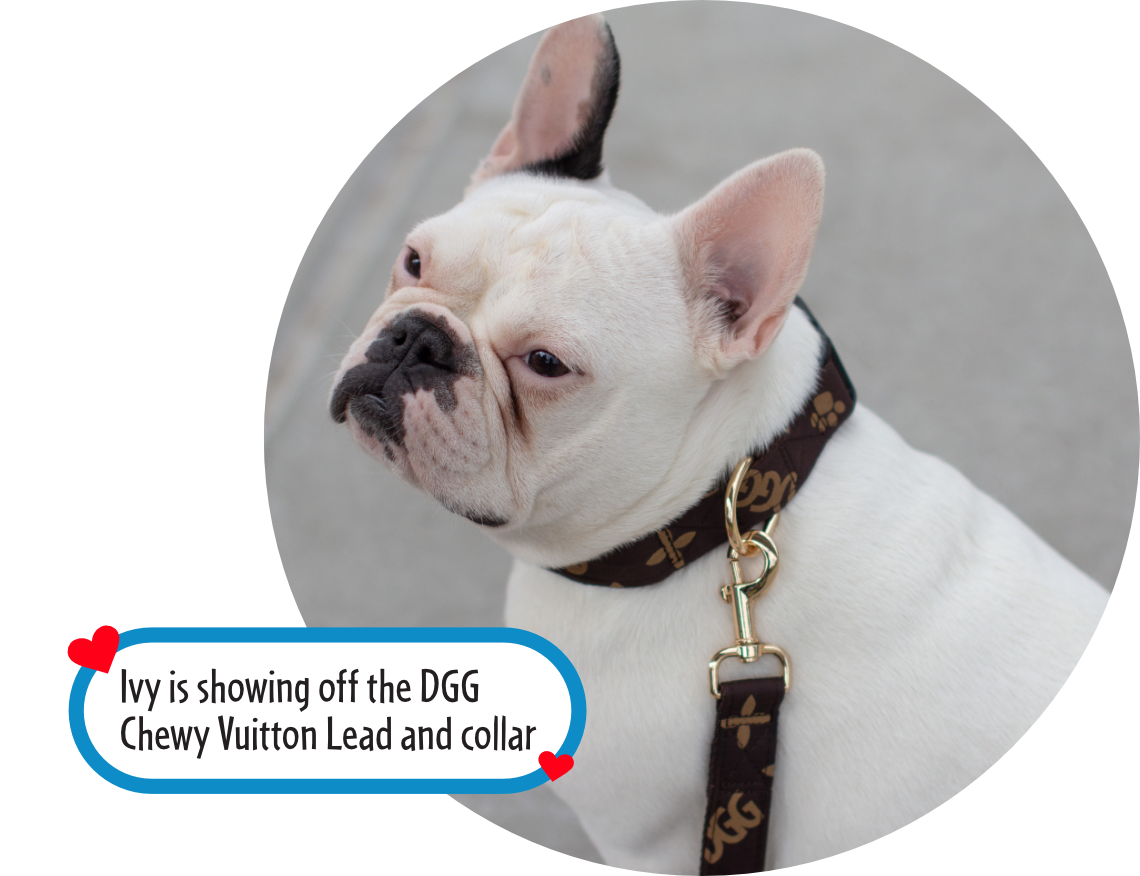 DGG Fashionista Chewy Vuitton Dog Jumper